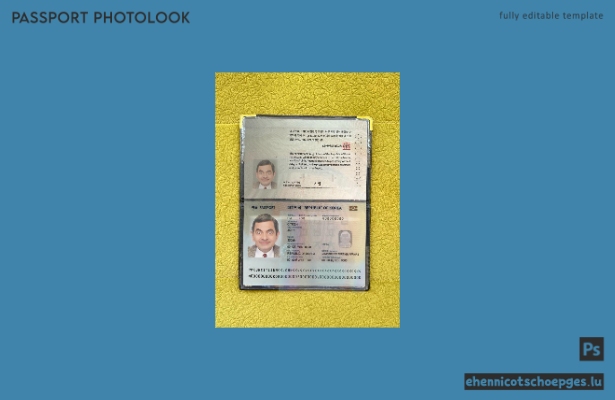 Korea-Pass 2022-heute: Beispielansicht des Passfotos